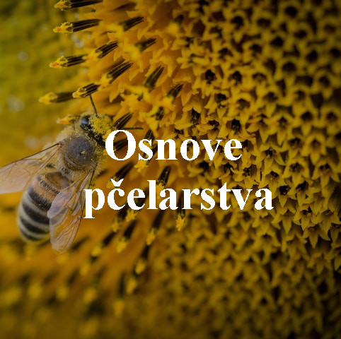 Osnove pčelarstva